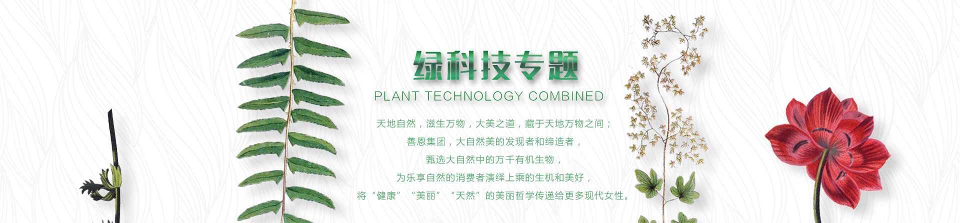 綠科技